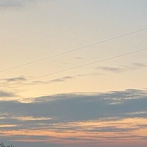 Meet your Posher, Abbie